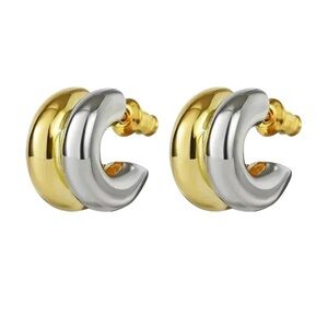 Stainless Steel Gold and Silver Hoop Earrings